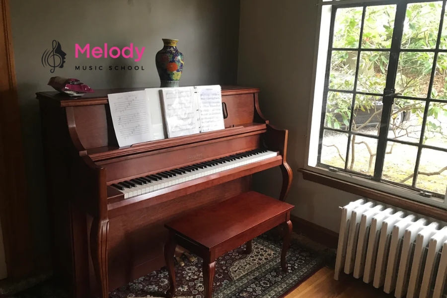 Nên Chọn Piano Điện Hay Organ Cho Người Mới? 13 Người mới cần chọn đàn theo mục tiêu học, ngân sách và không gian sử dụng