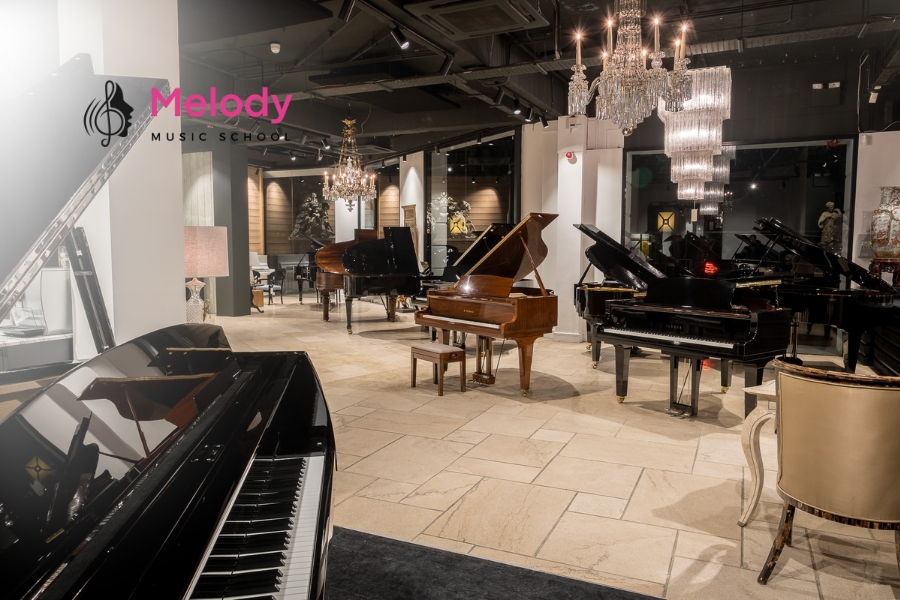 Nên Chọn Piano Điện Hay Organ Cho Người Mới? 14 Học piano trên organ chỉ phù hợp giai đoạn đầu, cần chuyển sớm để học chuyên sâu