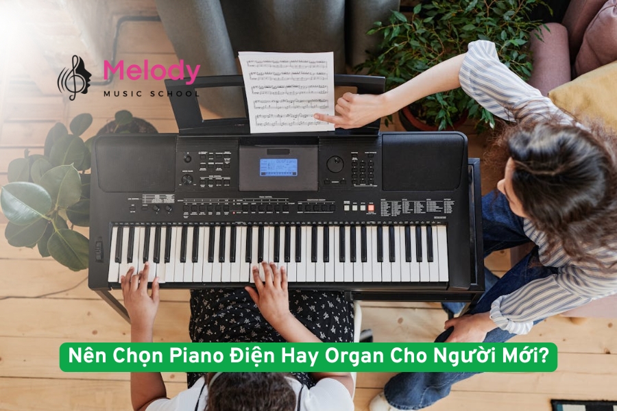 Nên Chọn Piano Điện Hay Organ Cho Người Mới?