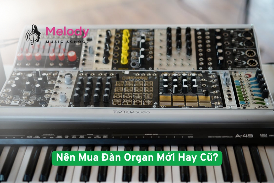 Nên Mua Đàn Organ Mới Hay Cũ Cho Người Học?
