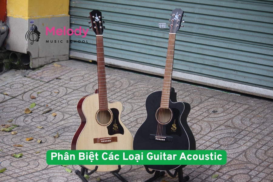 Cách Phân Biệt Các Loại Guitar Acoustic