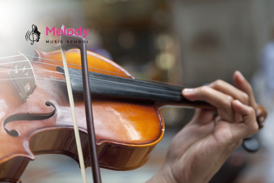 Phân Biệt Đàn Viola Và Violin Chi Tiết Chuẩn Xác 15 Chọn violin hay viola tùy vào sở thích và chất giọng bạn yêu thích nhất