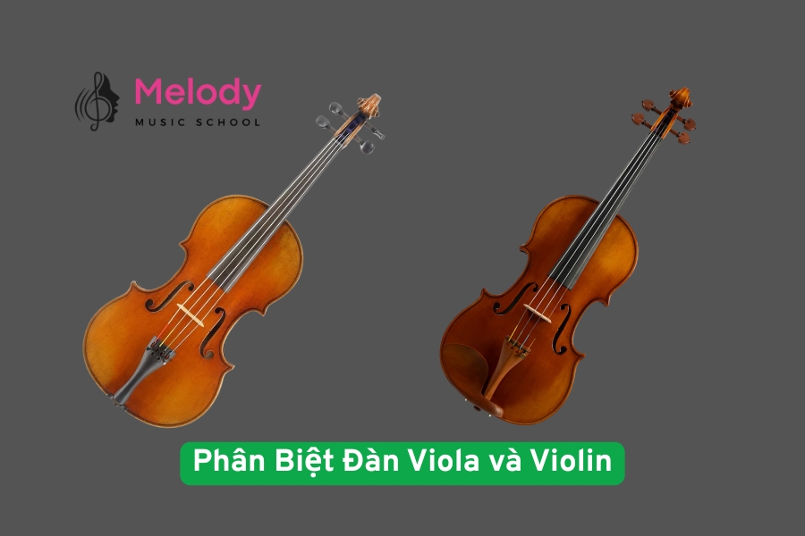 Phân Biệt Đàn Viola và Violin Chi Tiết Chuẩn Xác Nhất