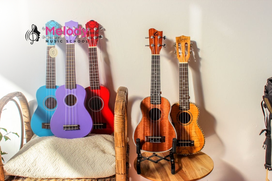 Phân Biệt Loại Ukulele &Amp; Cách Chọn Phù Hợp 8 Ngoài các loại tiêu chuẩn, Ukulele còn có nhiều biến thể đặc biệt và độc đáo