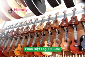 Phân Biệt Loại Ukulele &Amp; Cách Chọn Phù Hợp 3 Phân Biệt Các Loại Ukulele & Cách Chọn Phù Hợp