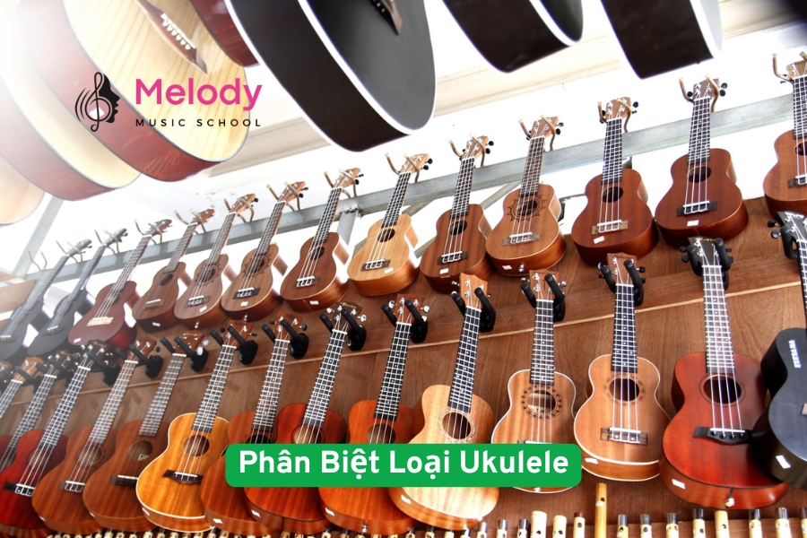 Phân Biệt Các Loại Ukulele & Cách Chọn Phù Hợp