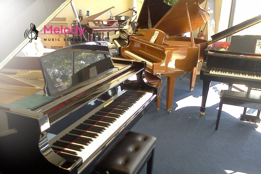 Piano Giá Bao Nhiêu? Bảng Giá &Amp; Tư Vấn 2025 15 Giá piano phù hợp tùy nhu cầu: điện từ 10 triệu, upright từ 60 triệu,s grand từ 300 triệu