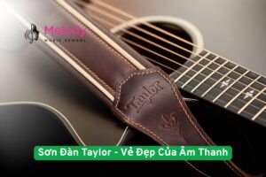 Sơn Đàn Taylor: Bí Mật Vẻ Đẹp Và Âm Thanh Đỉnh Cao 15 Lớp sơn Taylor tăng độ bền, âm hay, đẹp đàn – được dạy chuyên sâu tại Melody