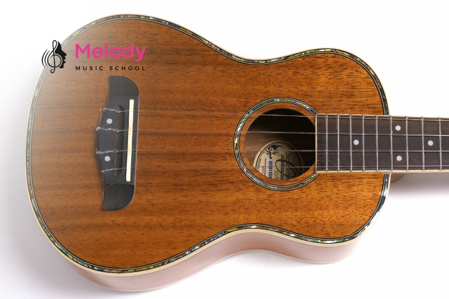 Top Hãng Ukulele Tốt Nhất 2025 Cho Người Mới 26 Oscar Schmidt là thương hiệu ukulele lâu đời với âm sắc ổn định và giá cả phải chăng